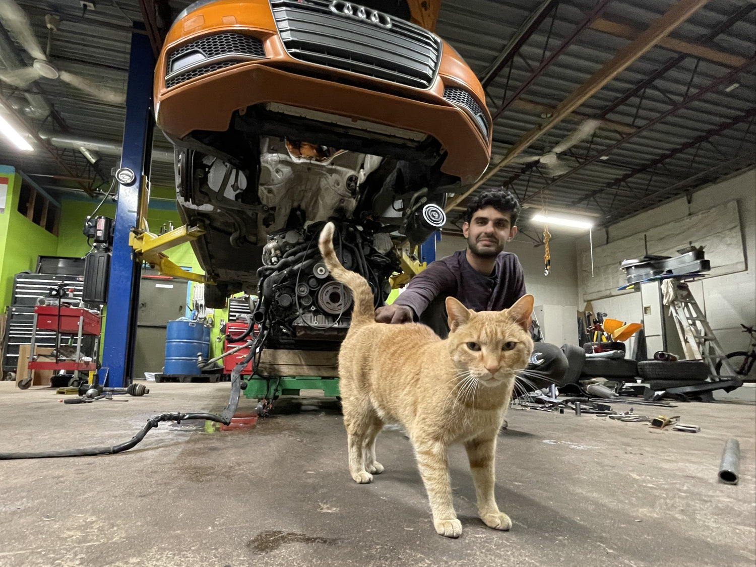 Inside an auto shop, an orange Audi S4 sits on a lift with its engine lowered onto a dolly for major maintenance. A mechanic crouches behind the engine while a ginger cat, the shop’s “assistant,” walks confidently in the foreground.